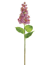 Load image into Gallery viewer, Two Tone Orchid