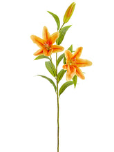 Load image into Gallery viewer, Orange