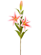 Load image into Gallery viewer, Pink