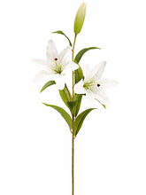 Load image into Gallery viewer, White