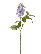 Load image into Gallery viewer, Lavender
