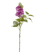 Load image into Gallery viewer, Violet