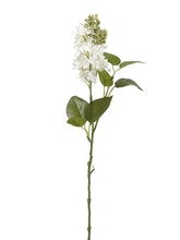 Load image into Gallery viewer, White