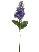 Load image into Gallery viewer, Lavender