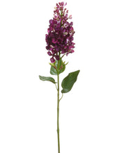 Load image into Gallery viewer, Purple