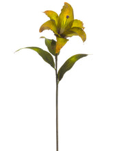 Load image into Gallery viewer, Green