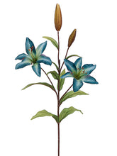Load image into Gallery viewer, Blue