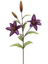 Load image into Gallery viewer, Dark Purple