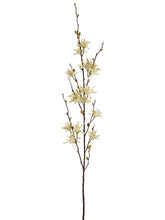 Load image into Gallery viewer, Beige