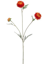 Load image into Gallery viewer, Flame Orange