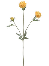 Load image into Gallery viewer, Yellow Gold