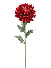 Load image into Gallery viewer, Burgundy