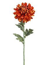 Load image into Gallery viewer, Flame