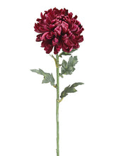 Load image into Gallery viewer, Purple