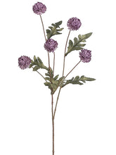 Load image into Gallery viewer, Two Tone Amethyst