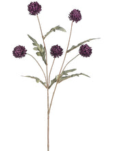 Load image into Gallery viewer, Eggplant