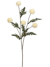 Load image into Gallery viewer, Ivory