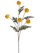 Load image into Gallery viewer, Yellow Green