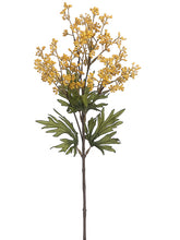 Load image into Gallery viewer, Mustard