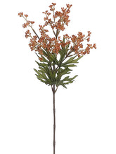 Load image into Gallery viewer, Terra Cotta