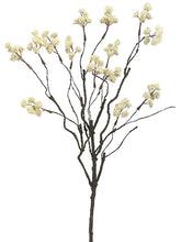 Load image into Gallery viewer, Beige