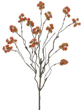 Load image into Gallery viewer, Orange