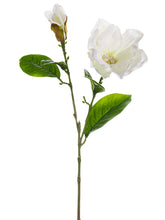 Load image into Gallery viewer, White