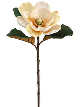 Load image into Gallery viewer, Beige