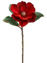 Load image into Gallery viewer, Rust