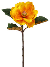 Load image into Gallery viewer, Yellow