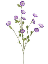 Load image into Gallery viewer, Purple