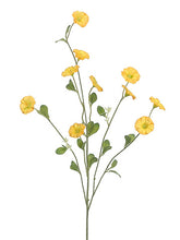 Load image into Gallery viewer, Yellow