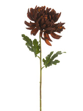 Load image into Gallery viewer, Chocolate
