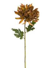 Load image into Gallery viewer, Toffee