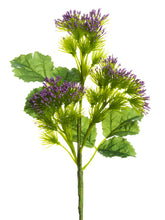 Load image into Gallery viewer, Purple