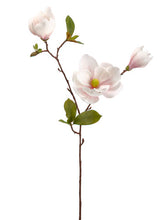 Load image into Gallery viewer, Pink Blush