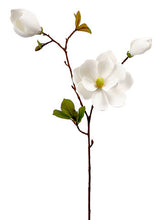 Load image into Gallery viewer, White