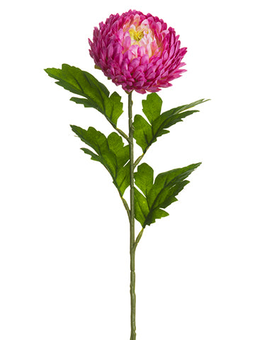 Two Tone Cerise