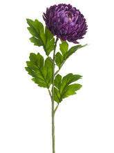 Load image into Gallery viewer, Eggplant