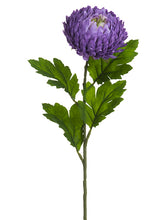 Load image into Gallery viewer, Lavender