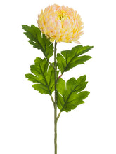Load image into Gallery viewer, Two Tone Peach