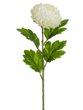 Load image into Gallery viewer, White