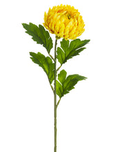 Load image into Gallery viewer, Two Tone Yellow