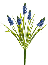 Load image into Gallery viewer, Blue