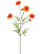 Load image into Gallery viewer, Orange