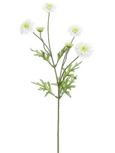Load image into Gallery viewer, White