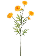 Load image into Gallery viewer, Yellow