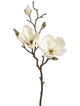 Load image into Gallery viewer, Cream