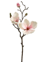 Load image into Gallery viewer, Pink Blush