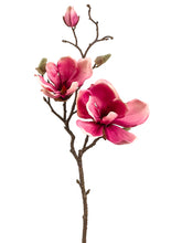 Load image into Gallery viewer, Rose